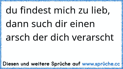 du findest mich zu lieb, dann such dir einen arsch der dich verarscht