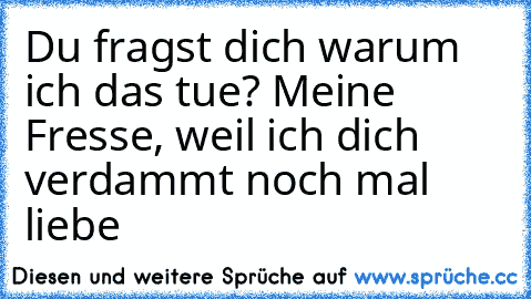 Du fragst dich warum ich das tue? Meine Fresse, weil ich dich verdammt noch mal liebe♥