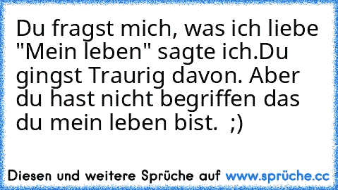 Du fragst mich, was ich liebe "Mein leben" sagte ich.Du gingst Traurig davon. Aber du hast nicht begriffen das du mein leben bist. ♥ ;)