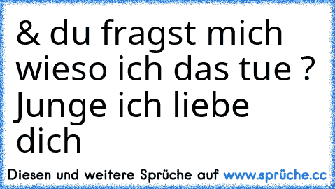 & du fragst mich wieso ich das tue ? Junge ich liebe dich