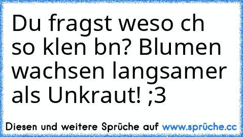 Du fragst wιeso ιch so kleιn bιn? Blumen wachsen langsamer als Unkraut! ;3