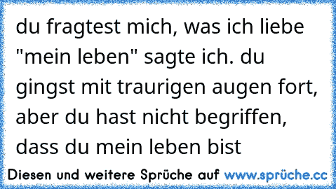 du fragtest mich, was ich liebe "mein leben" sagte ich. du gingst mit traurigen augen fort, aber du hast nicht begriffen, dass du mein leben bist