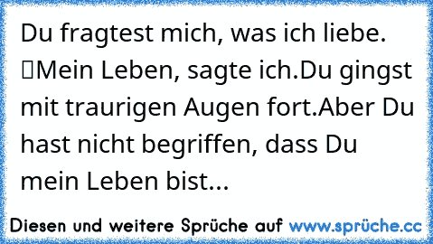 Du fragtest mich, was ich liebe. “Mein Leben”, sagte ich.
Du gingst mit traurigen Augen fort.
Aber Du hast nicht begriffen, dass Du mein Leben bist...