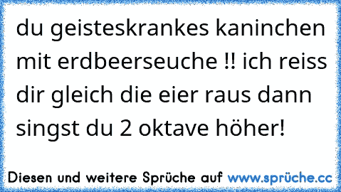 du geisteskrankes kaninchen mit erdbeerseuche !! ich reiss dir gleich die eier raus dann singst du 2 oktave höher!