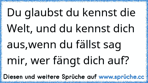 Du glaubst du kennst die Welt, und du kennst dich aus,
wenn du fällst sag mir, wer fängt dich auf?