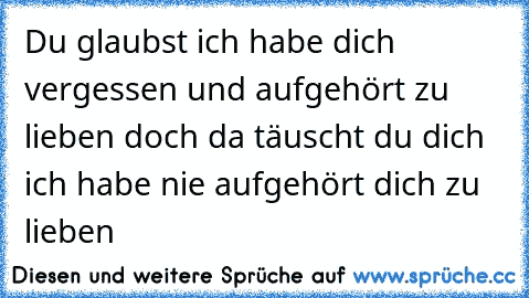 Du glaubst ich habe dich vergessen und aufgehört zu lieben doch da täuscht du dich ich habe nie aufgehört dich zu lieben 