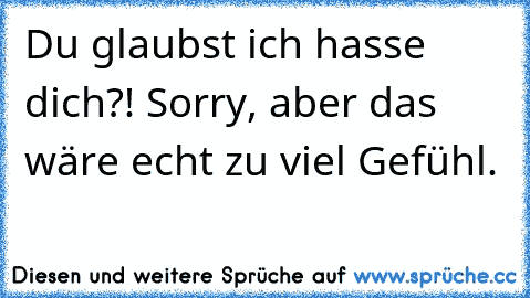 Du glaubst ich hasse dich?! Sorry, aber das wäre echt zu viel Gefühl.