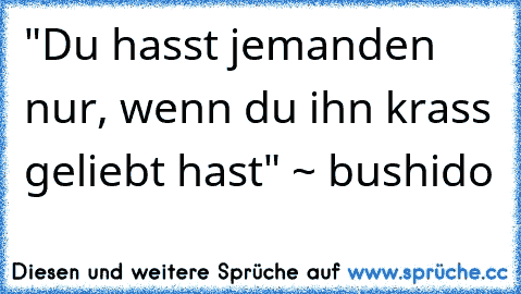 "Du hasst jemanden nur, wenn du ihn krass geliebt hast" ~ bushido