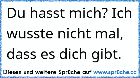 Du hasst mich? Ich wusste nicht mal, dass es dich gibt.