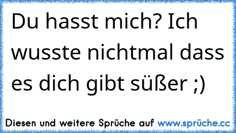 Du hasst mich? Ich wusste nichtmal dass es dich gibt süßer ;)