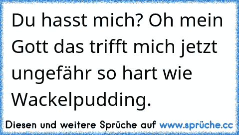 Du hasst mich? Oh mein Gott das trifft mich jetzt ungefähr so hart wie Wackelpudding.