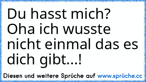 Du hasst mich? Oha ich wusste nicht einmal das es dich gibt...!