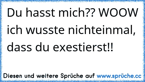 Du hasst mich?? WOOW ich wusste nichteinmal, dass du exestierst!!