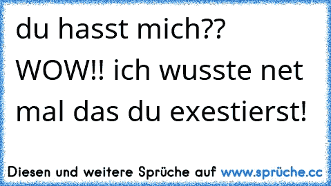 du hasst mich?? WOW!! ich wusste net mal das du exestierst!