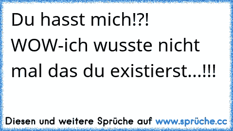 Du hasst mich!?! WOW-ich wusste nicht mal das du existierst...!!!