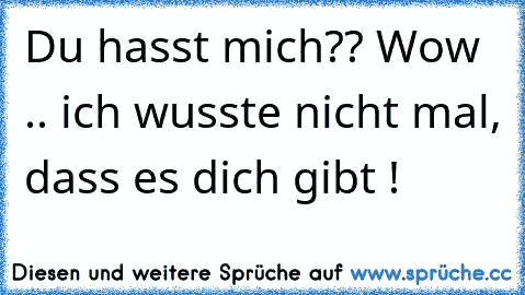 Du hasst mich?? Wow .. ich wusste nicht mal, dass es dich gibt !