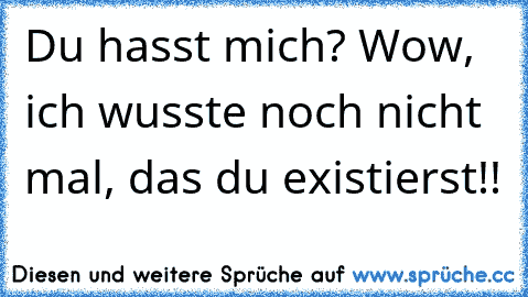 Du hasst mich? Wow, ich wusste noch nicht mal, das du existierst!!