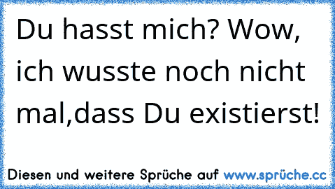 Du hasst mich? Wow, ich wusste noch nicht mal,dass Du existierst!