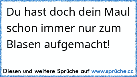 Du hast doch dein Maul schon immer nur zum Blasen aufgemacht!