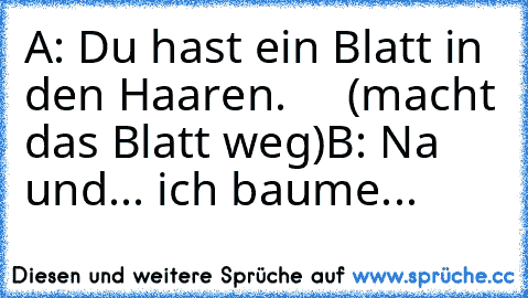 A: Du hast ein Blatt in den Haaren.
     (macht das Blatt weg)
B: Na und... ich baume...