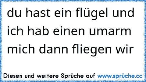 du hast ein flügel und ich hab einen umarm mich dann fliegen wir  ♥