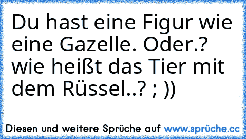 Du hast eine Figur wie eine Gazelle. Oder.? wie heißt das Tier mit dem Rüssel..? ; ))