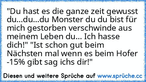 "Du hast es die ganze zeit gewusst du...du...du Monster du du bist für mich gestorben verschwinde aus meinem Leben du... Ich hasse dich!" "Ist schon gut beim Nächsten mal wenn es beim Hofer -15% gibt sag ichs dir!"