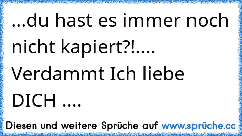 ...du hast es immer noch nicht kapiert?!.... Verdammt Ich liebe DICH ♥♥♥....