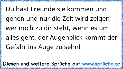 Du hast Freunde sie kommen und gehen und nur die Zeit wird zeigen wer noch zu dir steht, wenn es um alles geht, der Augenblick kommt der Gefahr ins Auge zu sehn!