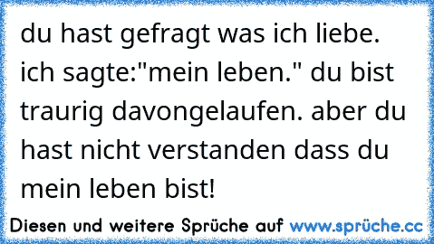 du hast gefragt was ich liebe. ich sagte:"mein leben." du bist traurig davongelaufen. aber du hast nicht verstanden dass du mein leben bist!