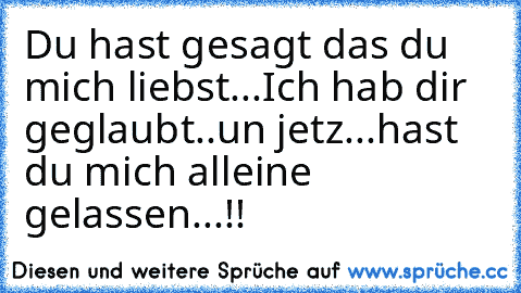 Du hast gesagt das du mich liebst...
Ich hab dir geglaubt..
un jetz...
hast du mich alleine gelassen...!!