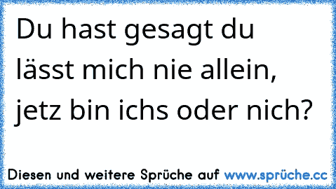 Du hast gesagt du lässt mich nie allein, jetz bin ichs oder nich?