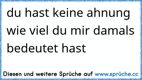 du hast keine ahnung wie viel du mir damals bedeutet hast 