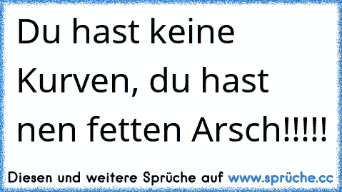 Du hast keine Kurven, du hast nen fetten Arsch!!!!!