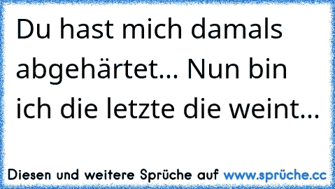 Du hast mich damals abgehärtet... Nun bin ich die letzte die weint...