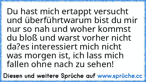 Du hast mich ertappt versucht und überführt
warum bist du mir nur so nah und woher kommst du bloß und warst vorher nicht da?
es interessiert mich nicht was morgen ist, ich lass mich fallen ohne nach zu sehen!