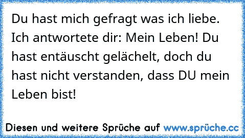 Du hast mich gefragt was ich liebe. Ich antwortete dir: Mein Leben! Du hast entäuscht gelächelt, doch du hast nicht verstanden, dass DU mein Leben bist!