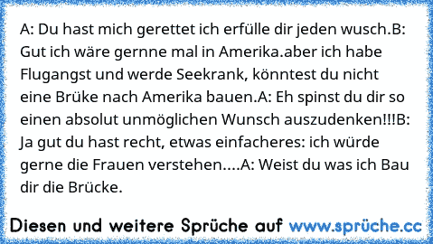 A: Du hast mich gerettet ich erfülle dir jeden wusch.
B: Gut ich wäre gernne mal in Amerika.
aber ich habe Flugangst und werde Seekrank, könntest du nicht eine Brüke nach Amerika bauen.
A: Eh spinst du dir so einen absolut unmöglichen Wunsch auszudenken!!!
B: Ja gut du hast recht, etwas einfacheres: ich würde gerne die Frauen verstehen....
A: Weist du was ich Bau dir die Brücke.