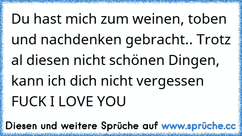 Du hast mich zum weinen, toben und nachdenken gebracht.. Trotz al diesen nicht schönen Dingen, kann ich dich nicht vergessen FUCK I LOVE YOU