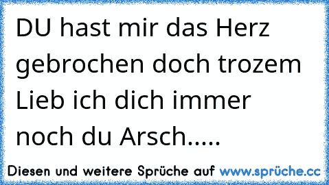 DU hast mir das Herz gebrochen doch trozem Lieb ich dich immer noch du Arsch.....♥