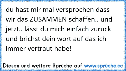 du hast mir mal versprochen dass wir das ZUSAMMEN schaffen.. und jetzt.. lässt du mich einfach zurück und brichst dein wort auf das ich immer vertraut habe!