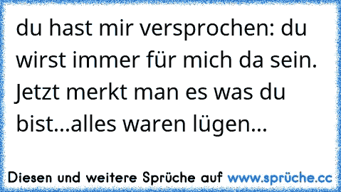 du hast mir versprochen: du wirst immer für mich da sein. Jetzt merkt man es was du bist...alles waren lügen...