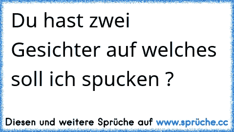 Du hast zwei Gesichter auf welches soll ich spucken ?