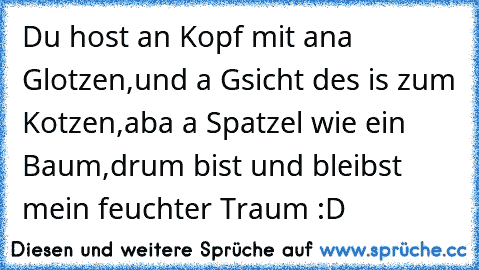 Du host an Kopf mit ana Glotzen,
und a Gsicht des is zum Kotzen,
aba a Spatzel wie ein Baum,
drum bist und bleibst mein feuchter Traum :D