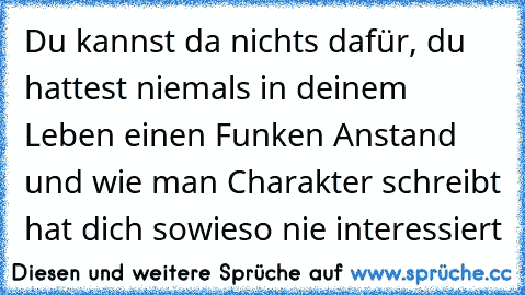 Du kannst da nichts dafür, du hattest niemals in deinem Leben einen Funken Anstand und wie man Charakter schreibt hat dich sowieso nie interessiert