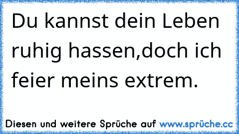 Du kannst dein Leben ruhig hassen,doch ich feier meins extrem.