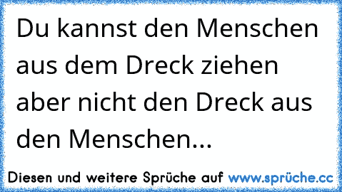 Du kannst den Menschen aus dem Dreck ziehen aber nicht den Dreck aus den Menschen...