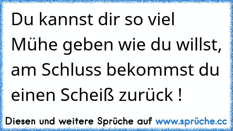 Du kannst dir so viel Mühe geben wie du willst, am Schluss bekommst du einen Scheiß zurück !