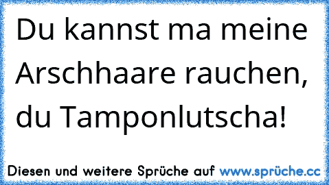 Du kannst ma meine Arschhaare rauchen, du Tamponlutscha!