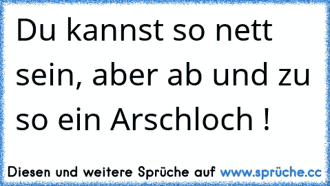 Du kannst so nett sein, aber ab und zu so ein Arschloch !